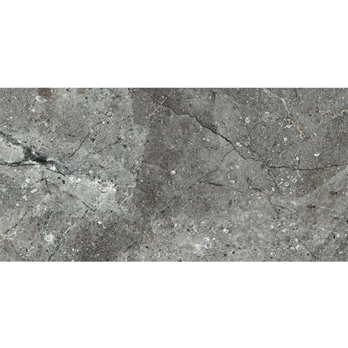 Roman Granit dLombardy Grey GT949808FR 45x90